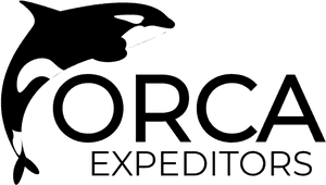 Orca Png , Png Download - Killer Whale, Transparent Png PNG image with transparent background