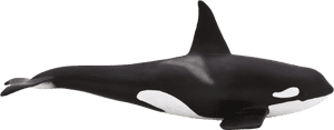 Orca Toy Png, Transparent Png PNG image with transparent background