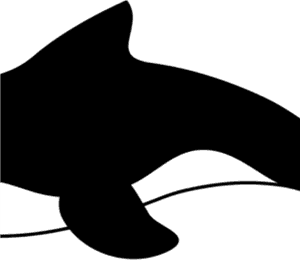 Orca Whale Clip Art Orca Whale Clipart All Clip Art - Whale Clipart Png Black And White, Transparent Png PNG image with transparent background