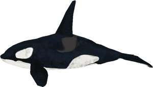 Download Zip Archive - Zoo Tycoon 2 Orca Model, HD Png Download PNG image with transparent background