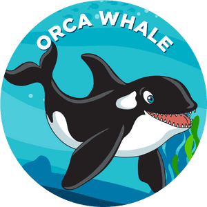 Orca Whale - Narwhal PNG image with transparent background