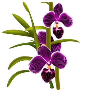 Orchid Bouquet PNG mch PNG image with transparent background