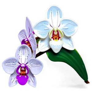 Orchid Flower Cricut Creation Png 9 PNG Image