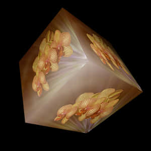 Orchid Illusion Cube PNG image with transparent background