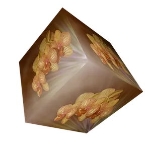 Orchid Illusion Cube PNG Image