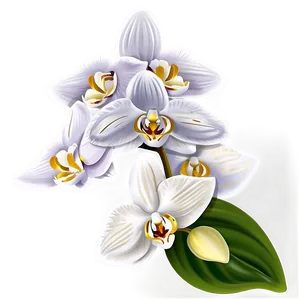 Orchid Sticker Image Png Djh54 PNG Image