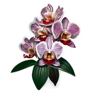 Orchid Sticker Image Png Mcd23 PNG Image