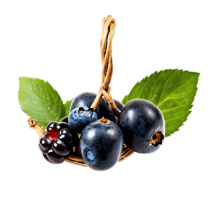 Organic Berries Basket PNG 91 PNG with transparent background