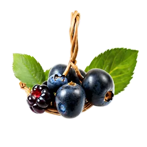 Organic Berries Basket Png 91 PNG Image