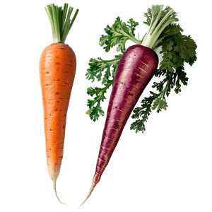 Organic Carrot PNG 15 PNG image with transparent background