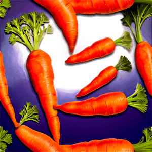 Organic Carrot PNG 44 PNG image with transparent background