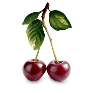Organic Cherries PNG 19 PNG with transparent background
