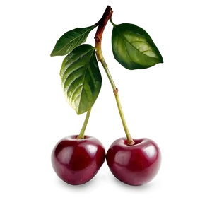 Organic Cherries Png 19 PNG Image