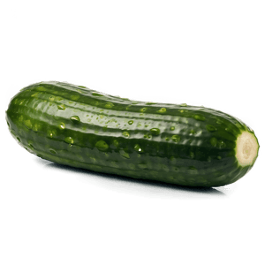 Organic Cucumber PNG ixd PNG