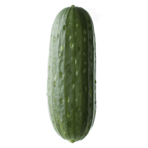Organic Cucumber PNG uns17 PNG