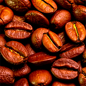 Organic Fair Trade Coffee Beans PNG civ55 PNG with transparent background