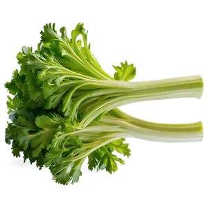 Organic Farm Celery Png Brg34 PNG Image