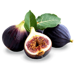 Organic Fig Photo PNG nwd PNG