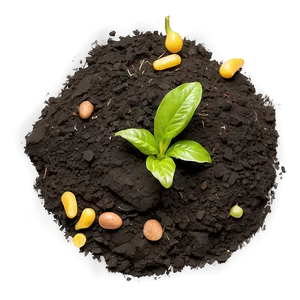 Organic Garden Soil Texture Png Yes PNG Image