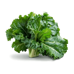 Organic Kale Leaves Bundle PNG ban PNG with transparent background