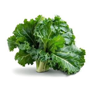 Organic Kale Leaves Bundle Png Ban PNG Image