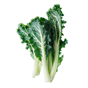 Organic Kale Leaves Bundle PNG eai17 PNG with transparent background