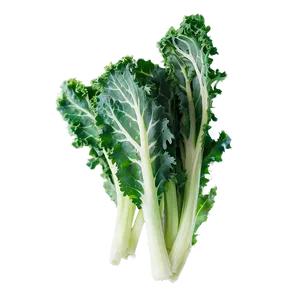 Organic Kale Leaves Bundle Png Eai17 PNG Image