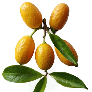 Organic Kumquat Png 8 PNG Image