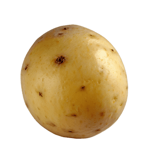 Organic Potato PNG dtx PNG image with transparent background