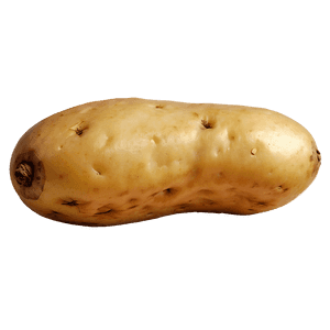 Organic Potato PNG eoc49 PNG image with transparent background