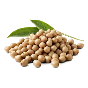 Organic Soybeans Pile Png Pcn PNG Image