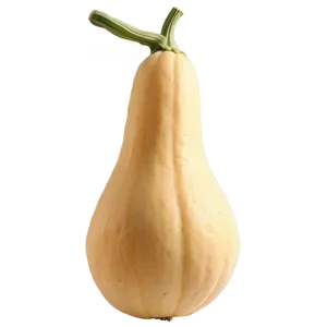 Organic Squash Png 06122024 PNG Image