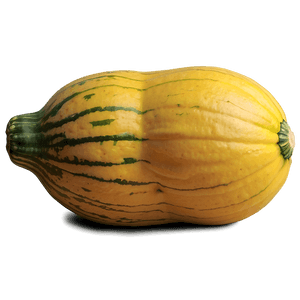 Organic Squash PNG plx66 PNG with transparent background