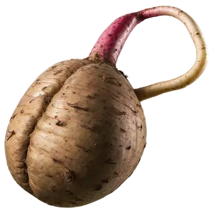 Organic Tuber Png 79 PNG Image