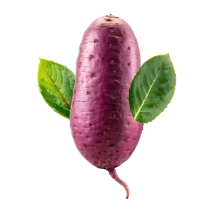 Organic Tuber Png Msi PNG Image