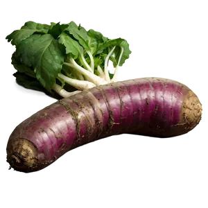 Organic Tuber Png Vat7 PNG Image