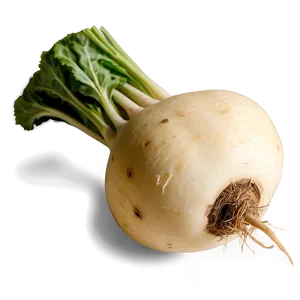 Organic Turnip Png 4 PNG Image