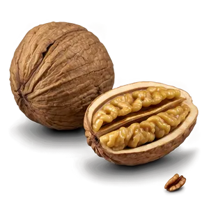 Organic Walnut Png Uqn5 PNG Image