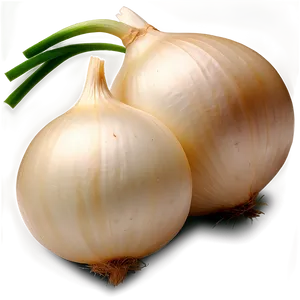 Organic White Onion Png 06122024 PNG Image