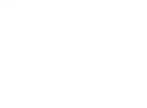 Origami Crane Silhouette PNG Image