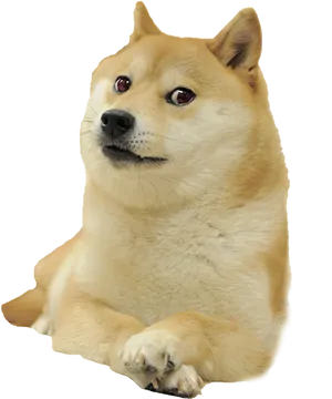 Original Doge Meme Shiba Inu PNG Image