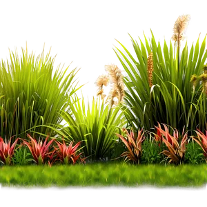 Ornamental Grass Border Png Qeo PNG Image