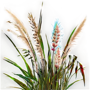 Ornamental Grass D PNG Image