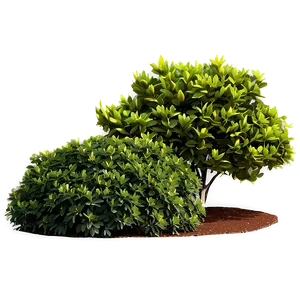 Ornamental Shrubs Png Kmi PNG Image