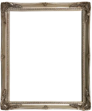 Ornate Empty Picture Frame PNG Image