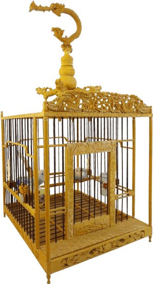 Cage, HD Png Download PNG with transparent background