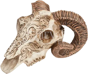 Ornate Ram Skull Sculpture.png PNG Image