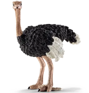 Ostrich Standing Profile PNG Image