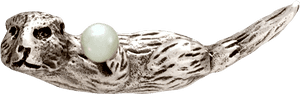 Sea Otter, HD Png Download PNG image with transparent background