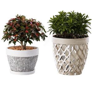 Outdoor Garden Potted Plants PNG nbt PNG